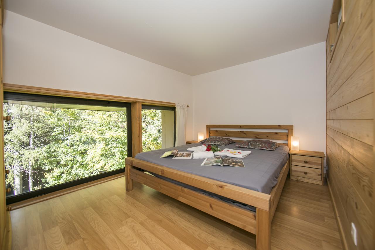 Residence Grand Roc - Ancolies 103 - Happy Rentals Chamonix Bagian luar foto